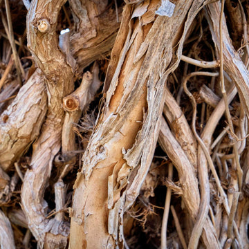 Close-up of dried brown twigs and branches